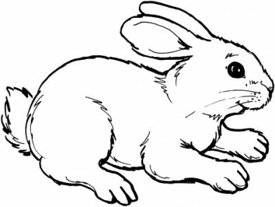 desenho-de-coelho-para-colorir