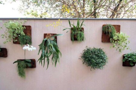 decoracao-de-quintal-com-plantas