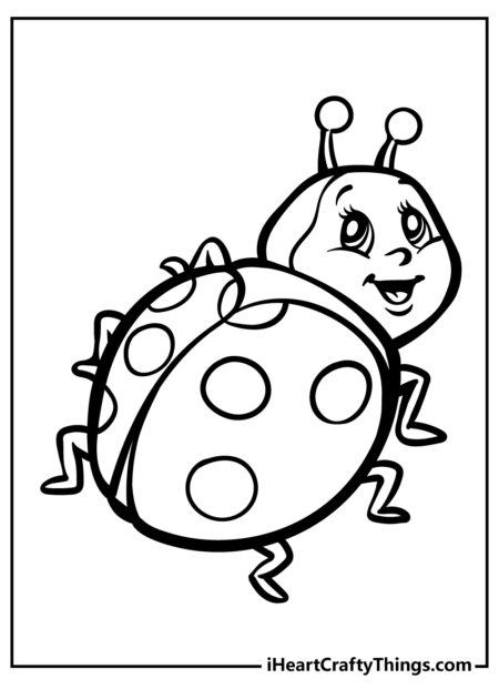 desenho-para-colorir-ladybug