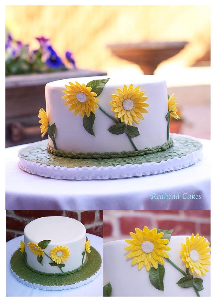 Decorated Cake Daisies