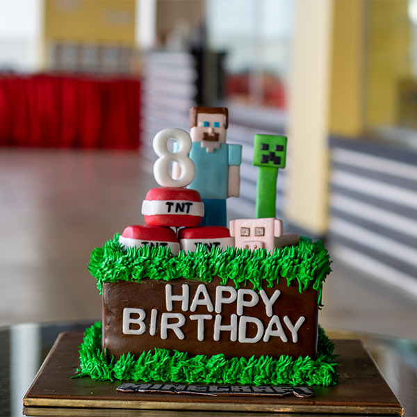 Minecraft decorated cake