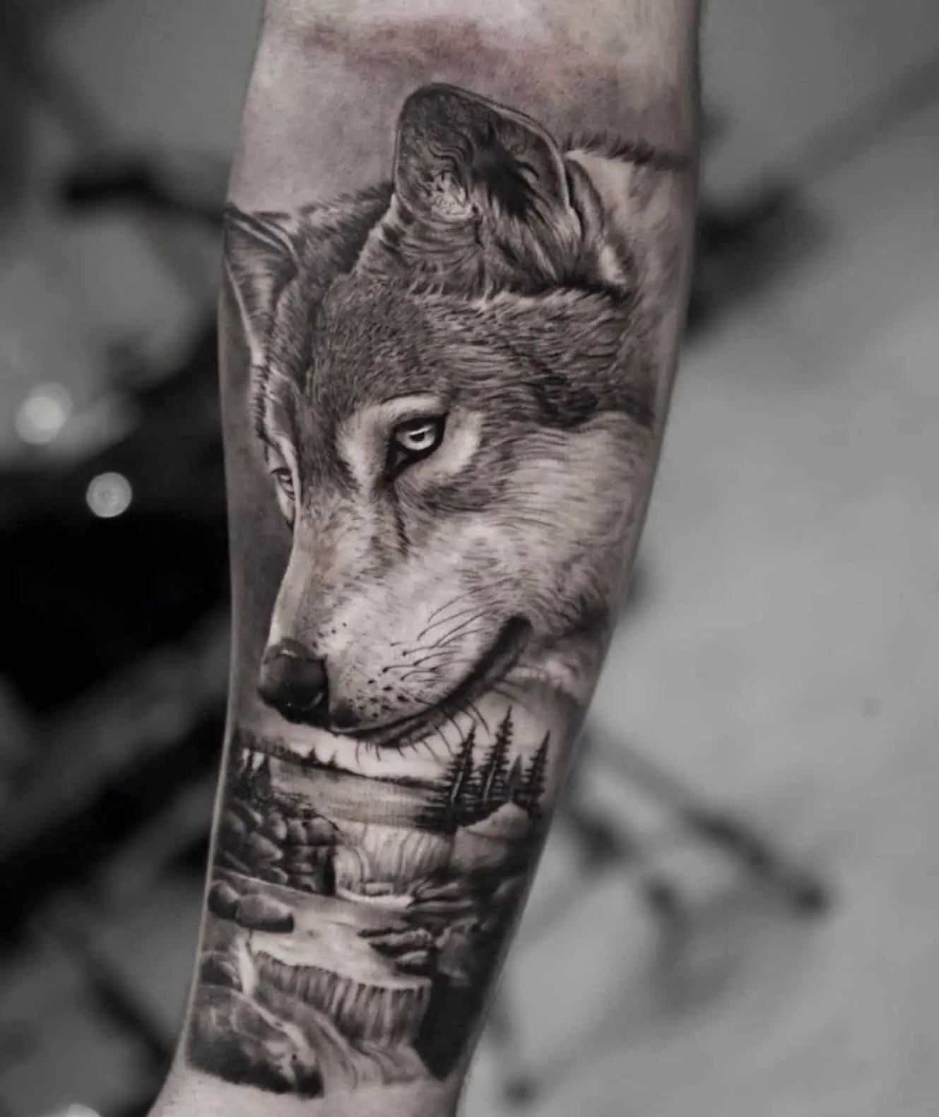 wolf tattoo