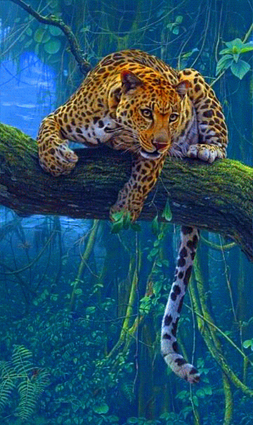 arquétipo leopardo