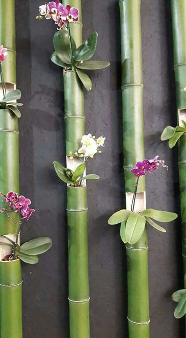 Modelos de Decoracao Com Bambu
