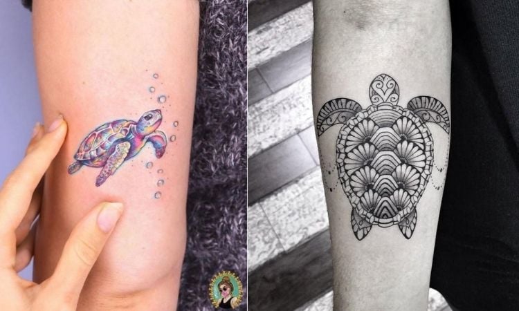 Significado Tartaruga Tatuagem