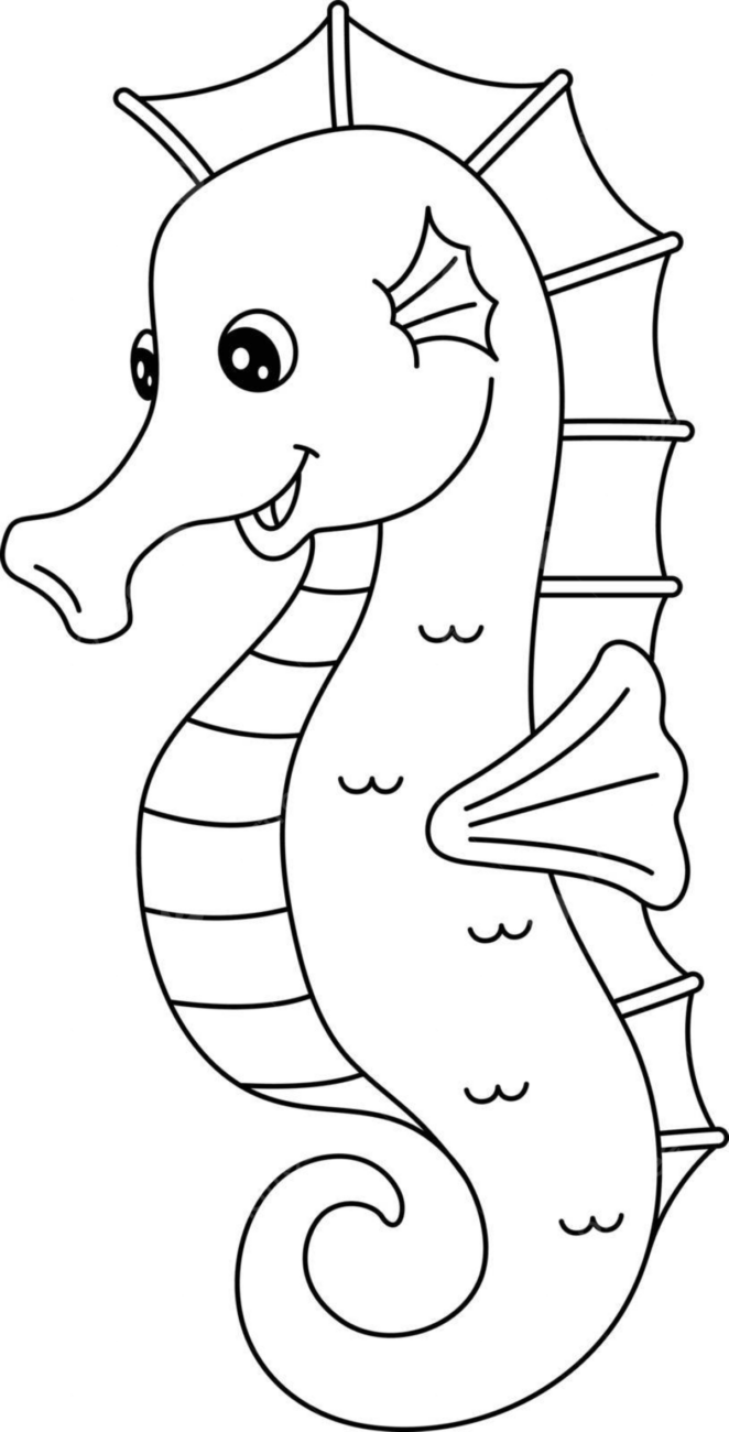 cavalo-marinho-para-colorir