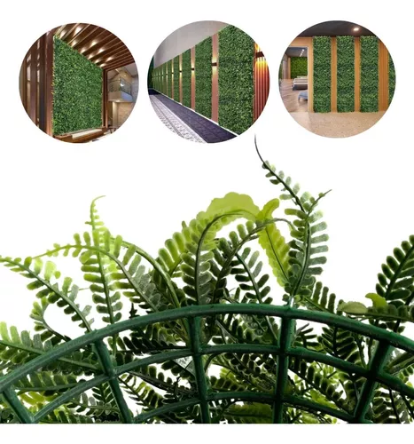 samambaia-na-decoracao