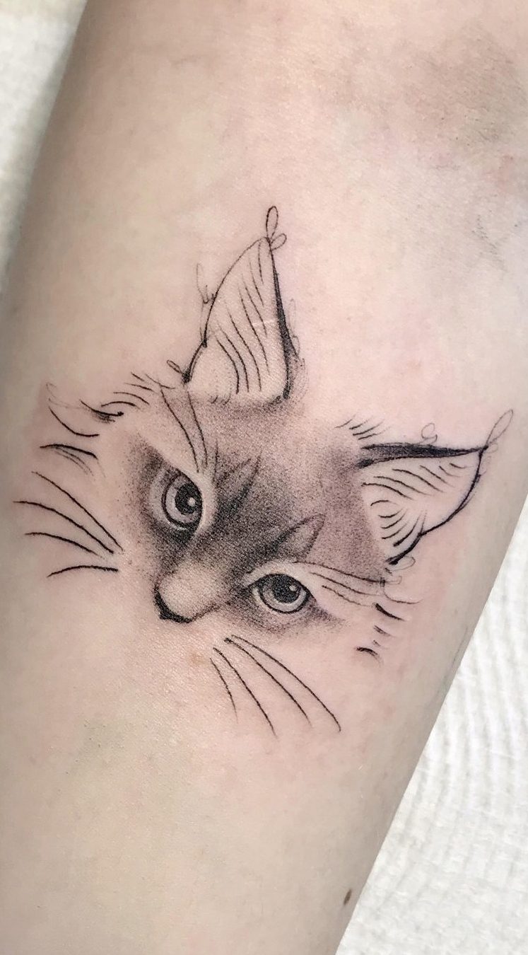 Tatuagem De Gato