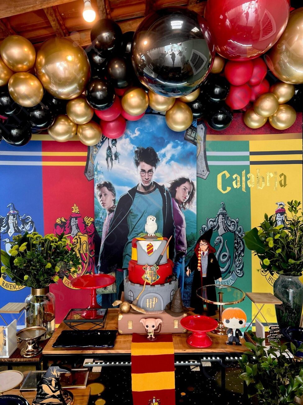 Decoração Festa do Harry Potter