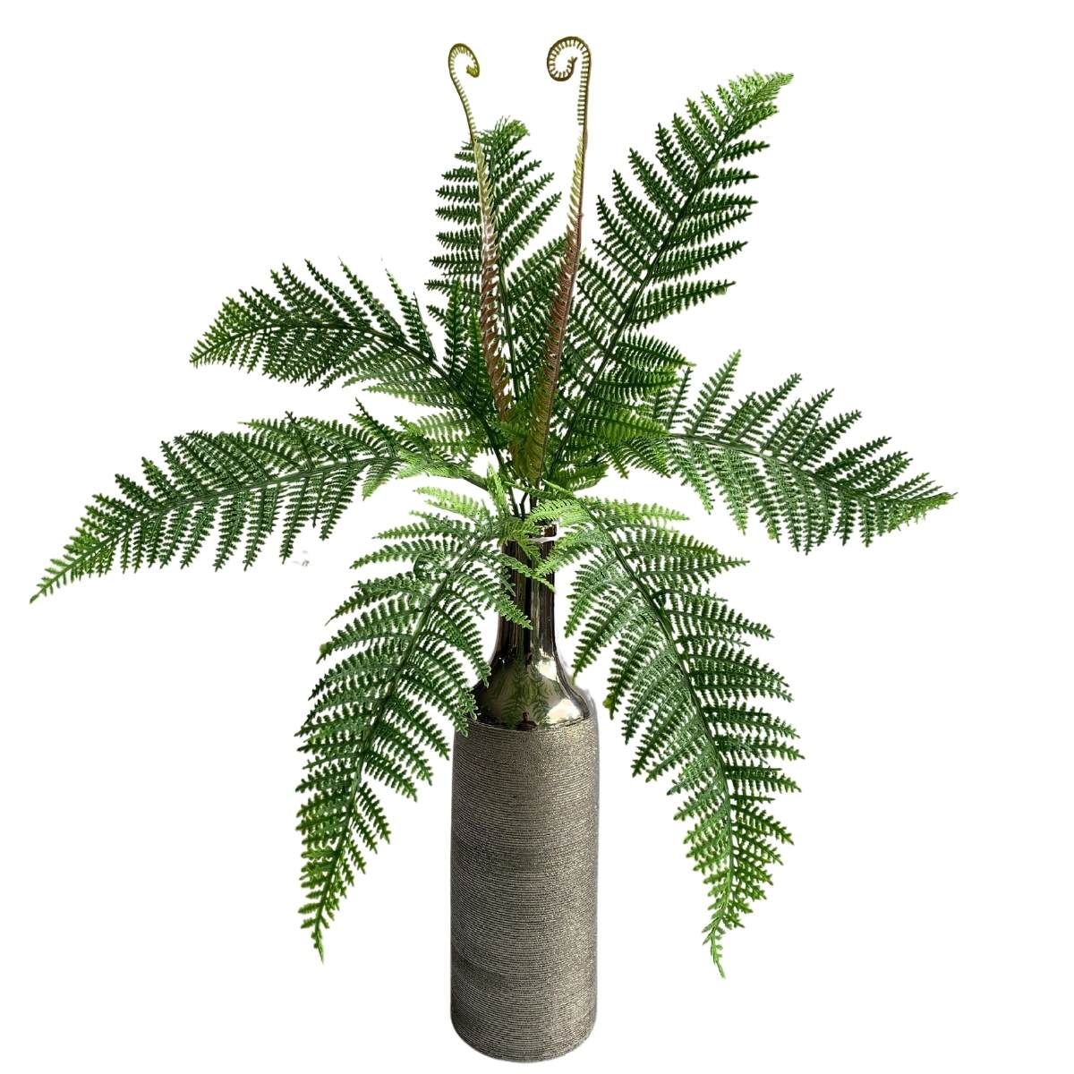 samambaia-na-decoracao
