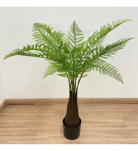 samambaia-na-decoracao