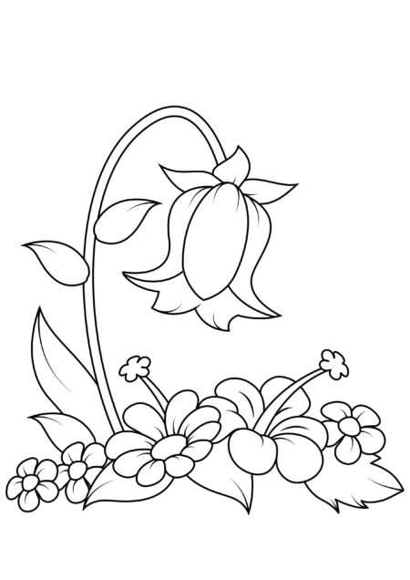 desenho-para-colorir-flores