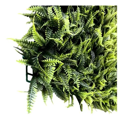 samambaia-na-decoracao
