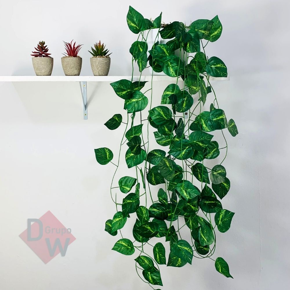 decoracao com planta jiboia