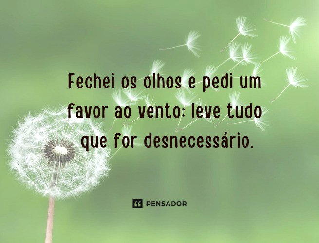 frases-pra-foto