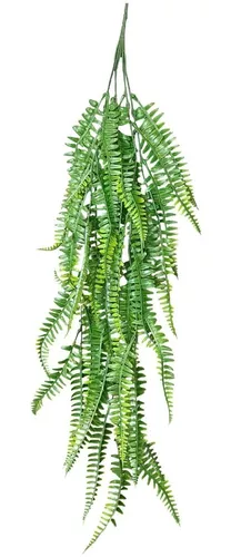 samambaia-na-decoracao