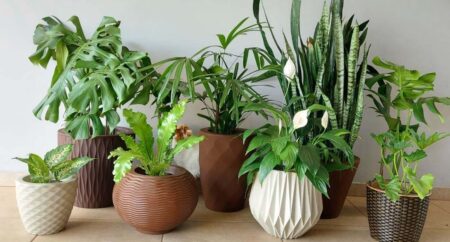 vasos-decorativos-para-plantas