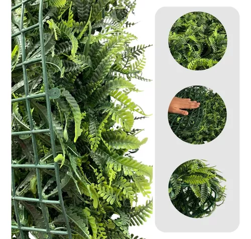 samambaia-na-decoracao