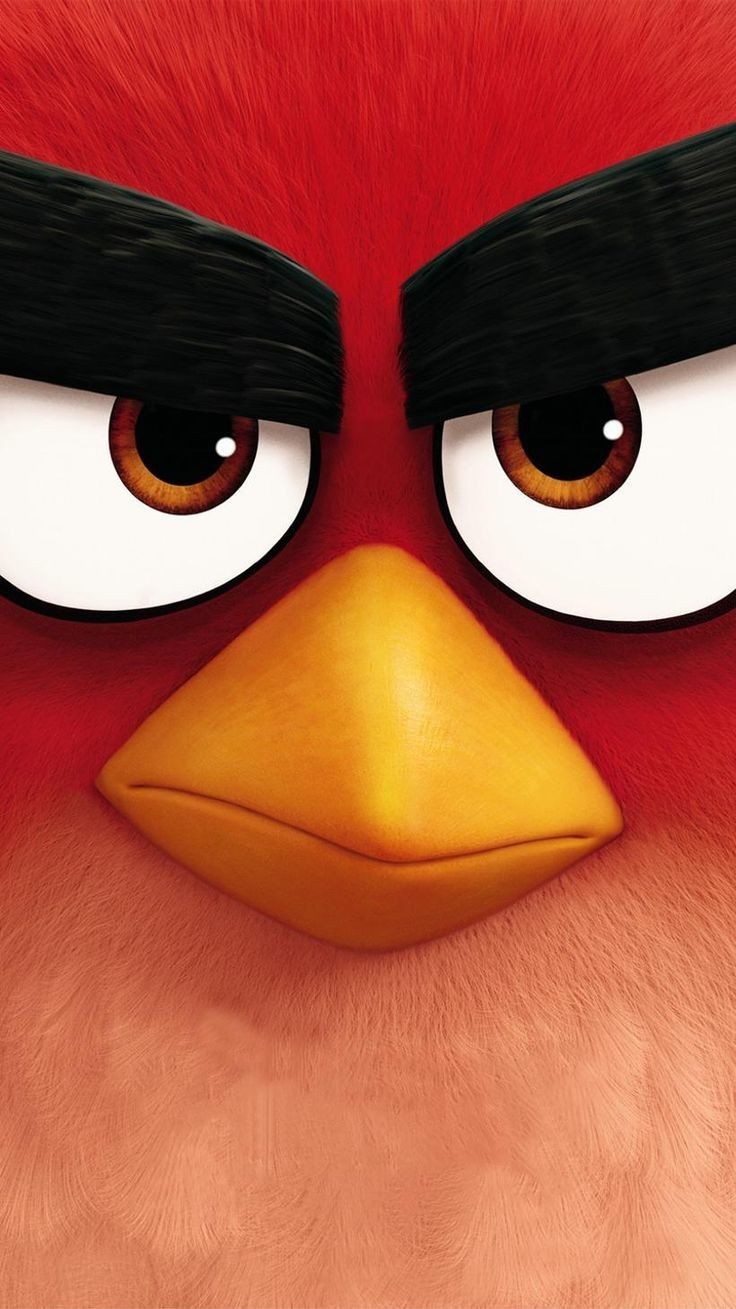 papel-de-parece-para-celular-angry-birds