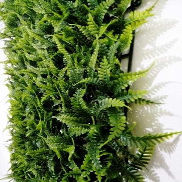 samambaia-na-decoracao