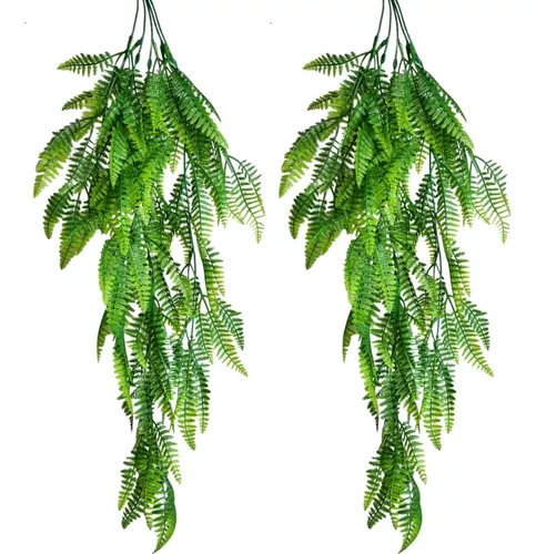 samambaia-na-decoracao