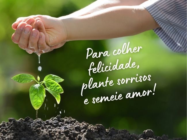 frases-curtas-para-legenda-de-foto