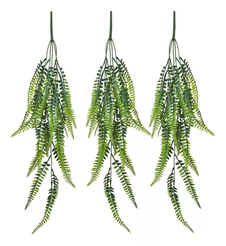 samambaia-na-decoracao