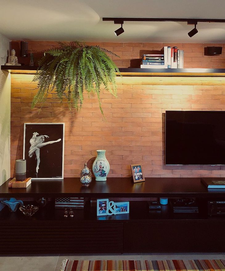 samambaia-na-decoracao