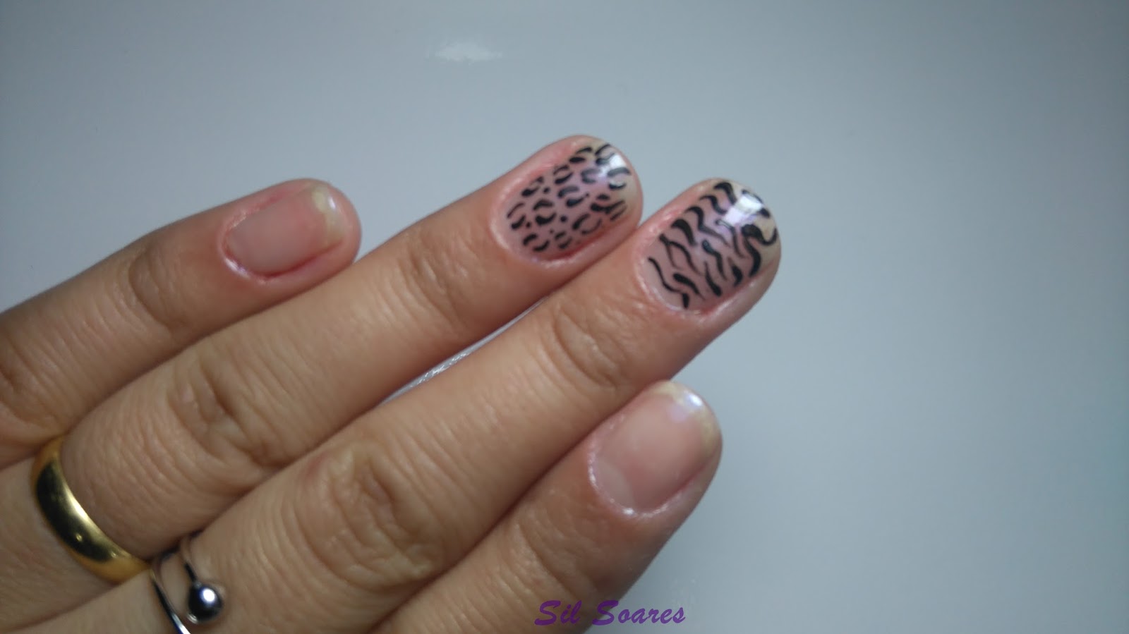 Unhas Decoradas Zebra E Onça