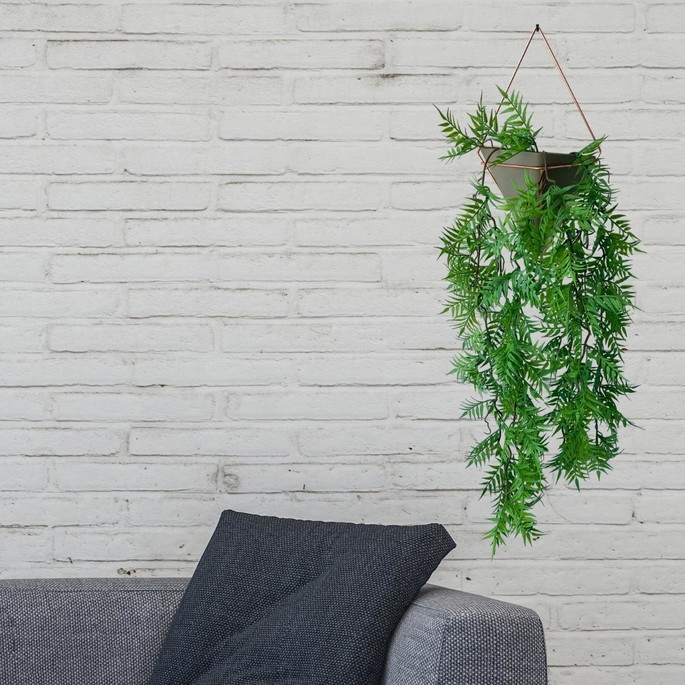 samambaia-na-decoracao