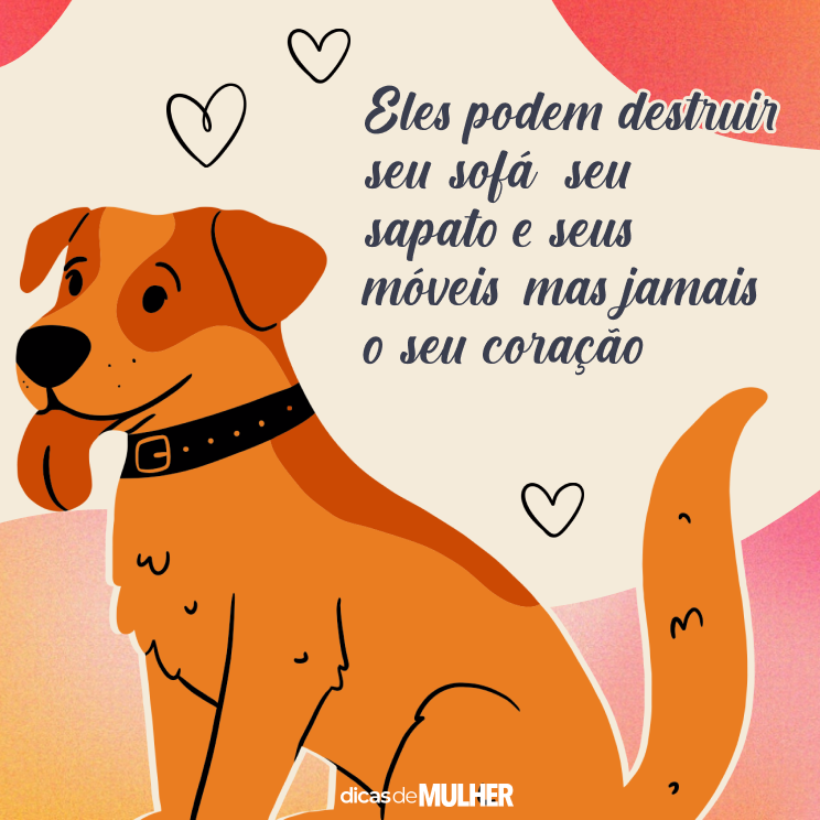 frases-para-fotos-com-cachorro