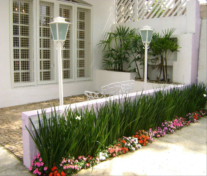 plantas-para-jardim