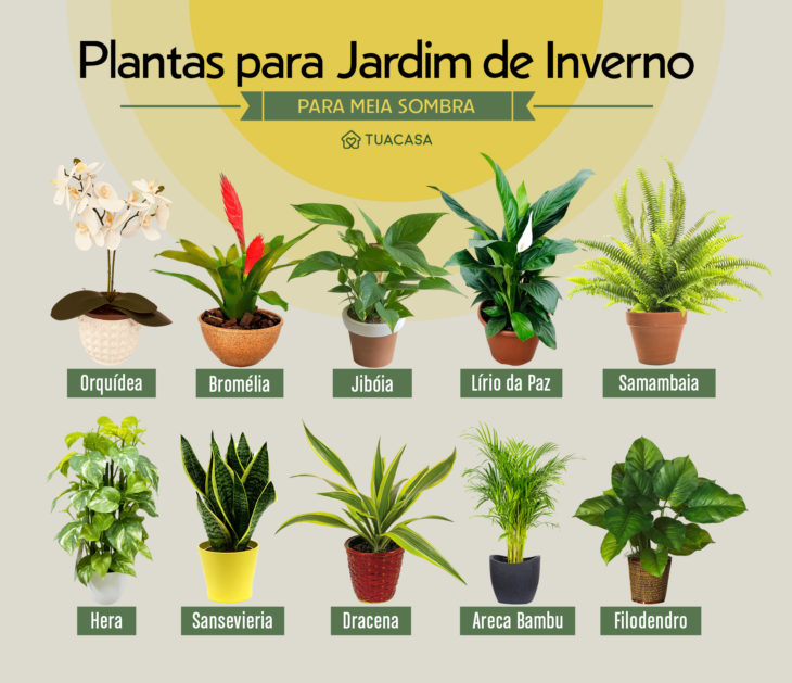 plantas-para-jardim