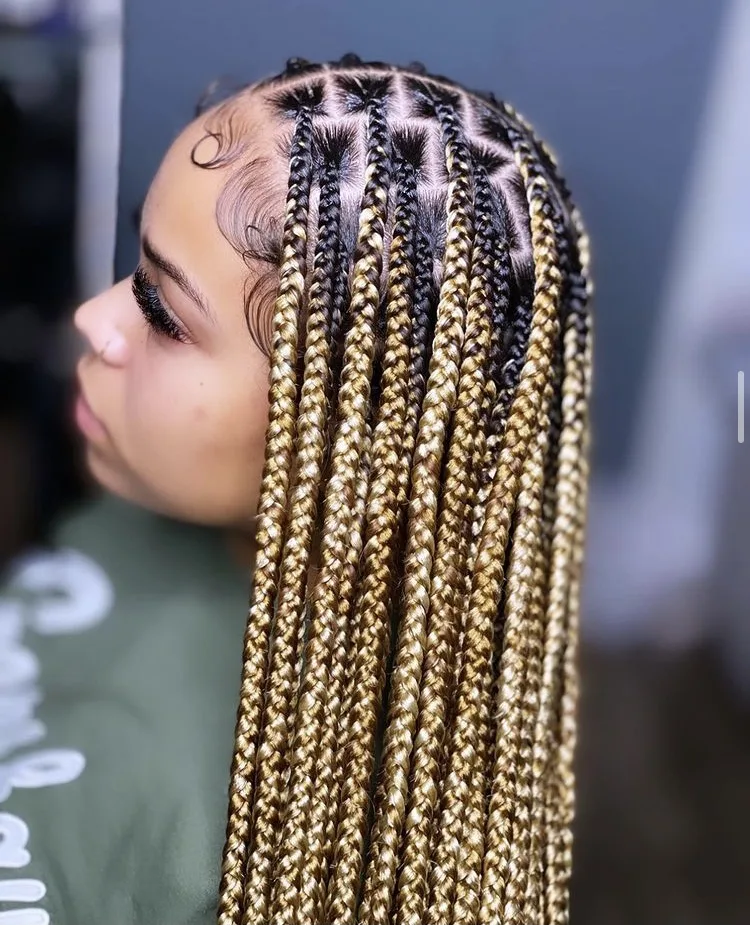 Colored Braids