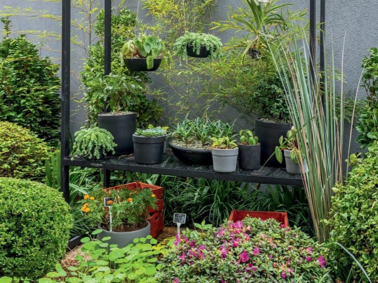 plantas-para-jardim