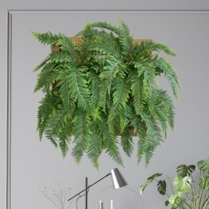 samambaia-na-decoracao