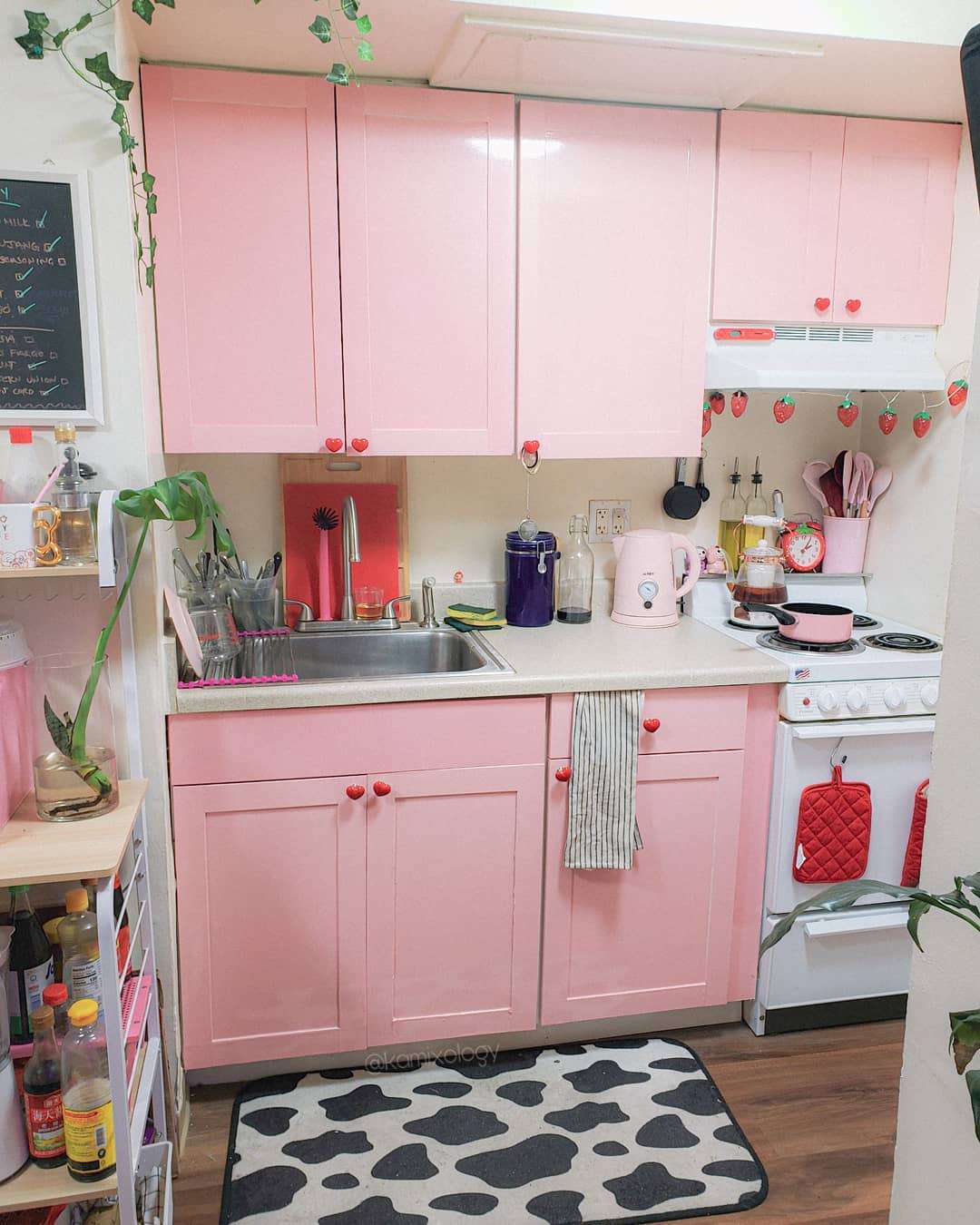 Decoration of Pink Kitchens