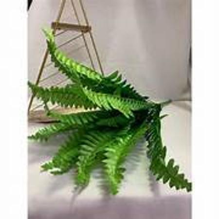 samambaia-na-decoracao