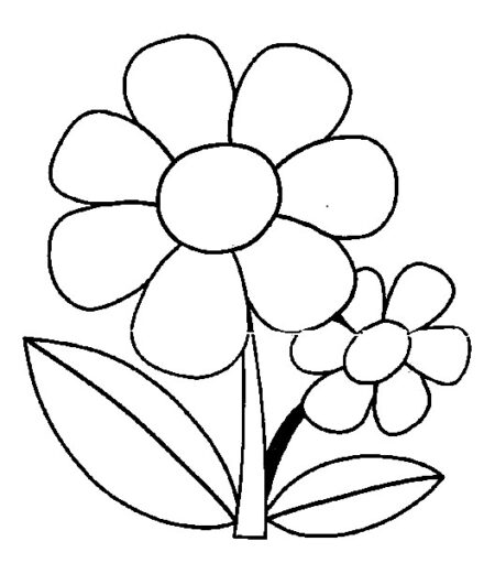 desenho-para-colorir-flores