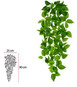 planta-jiboia