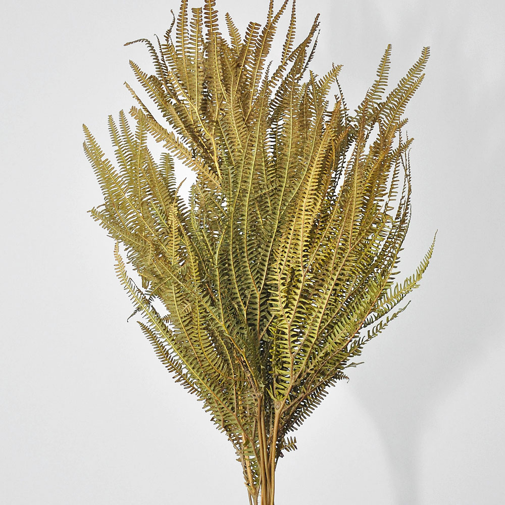 samambaia-na-decoracao