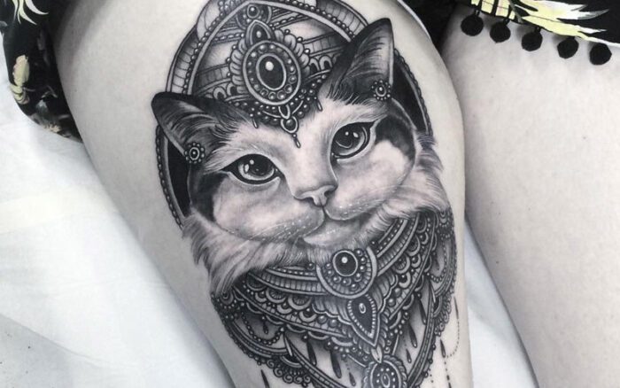 Tatuagem De Gato