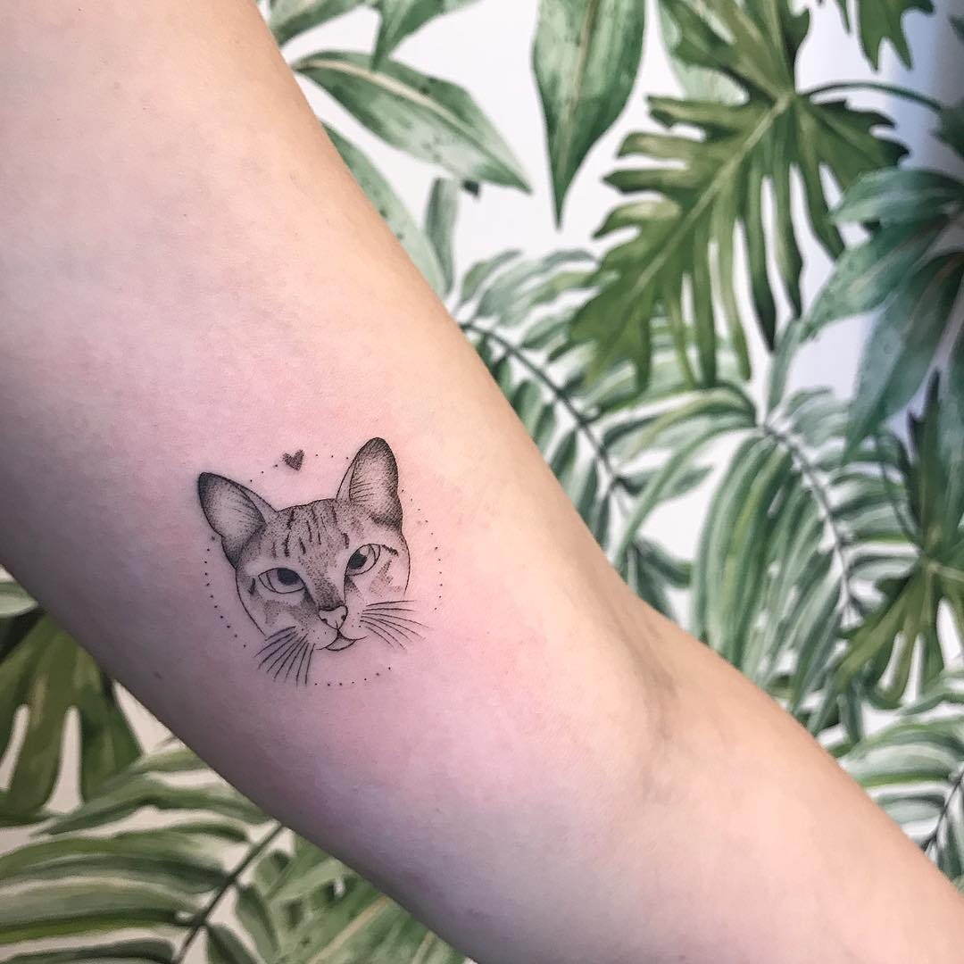 Tatuagem Feminina Gato