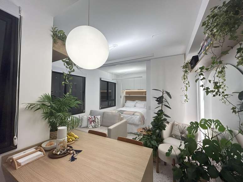 plantas-para-apartamento-2