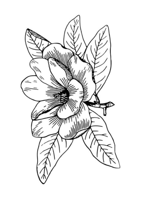 desenho-para-colorir-flores