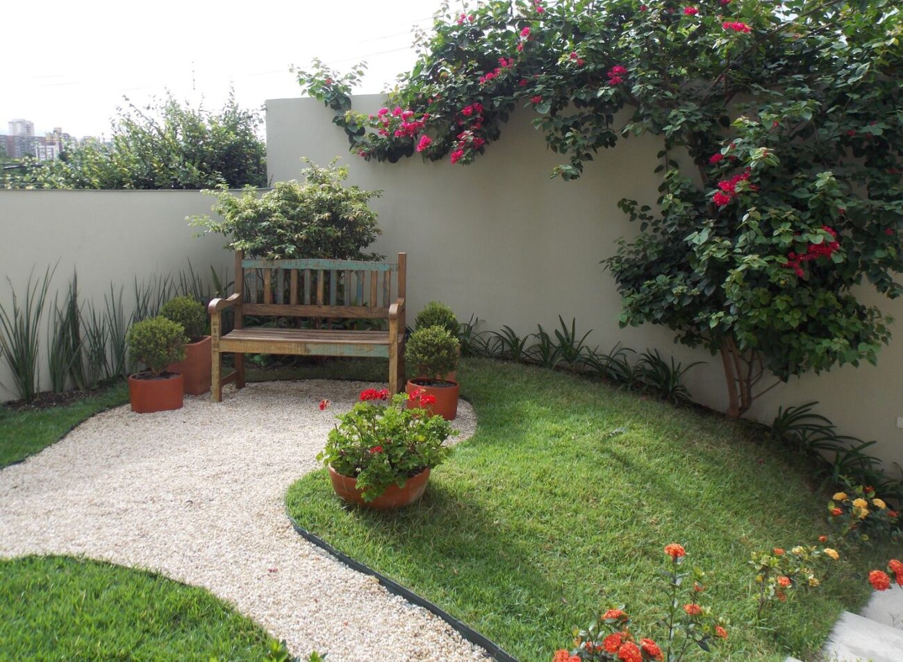 plantas-para-jardim