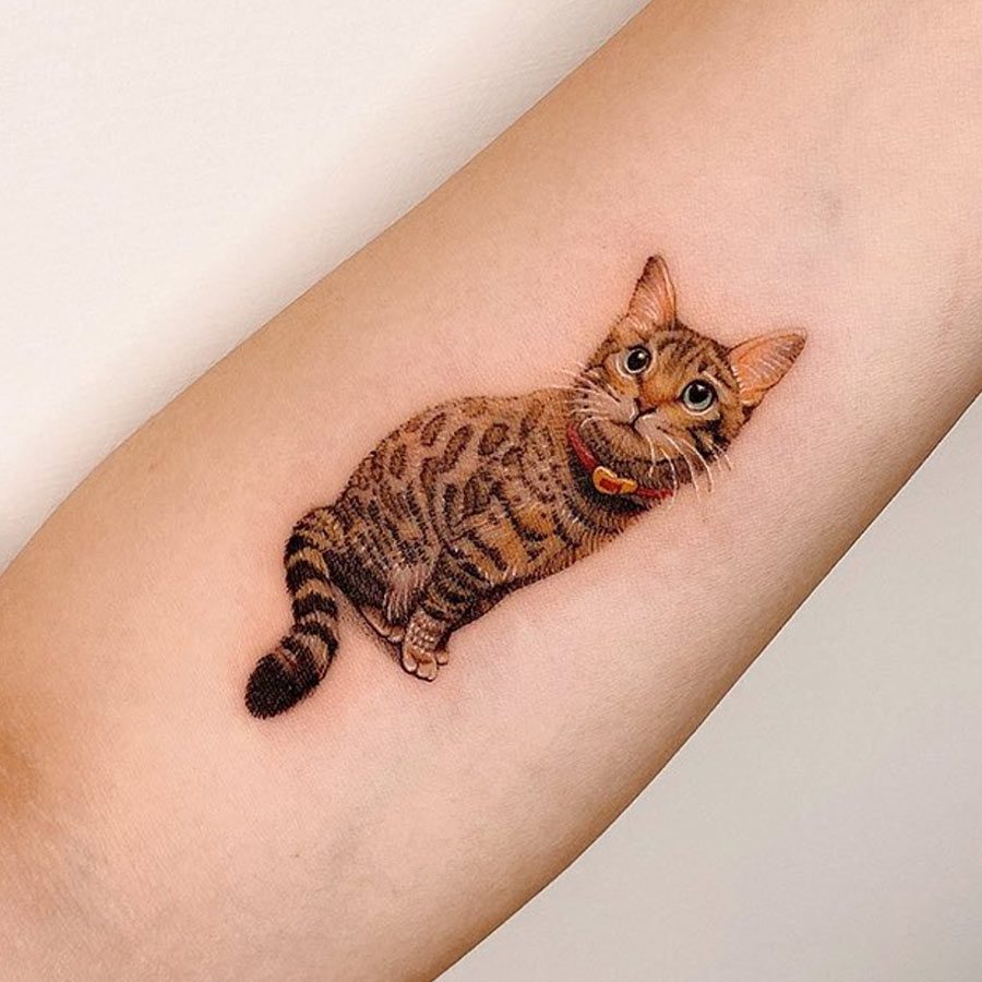 cat tattoo