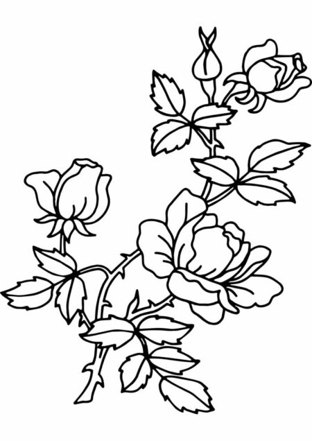 desenho-para-colorir-flores