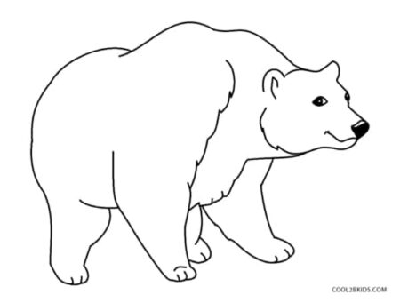 desenho-para-colorir-urso