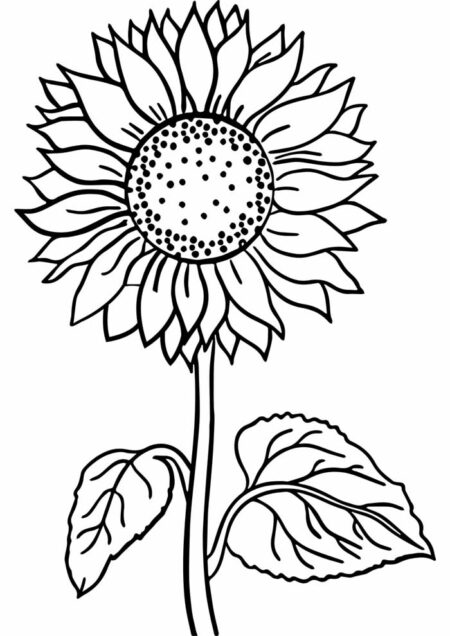 desenho-para-colorir-flores